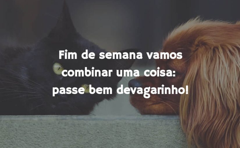 Fim de semana, passe bem devagarinho