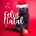 Arte mostrando gato como Papai Noel brincando com a árvore de Natal